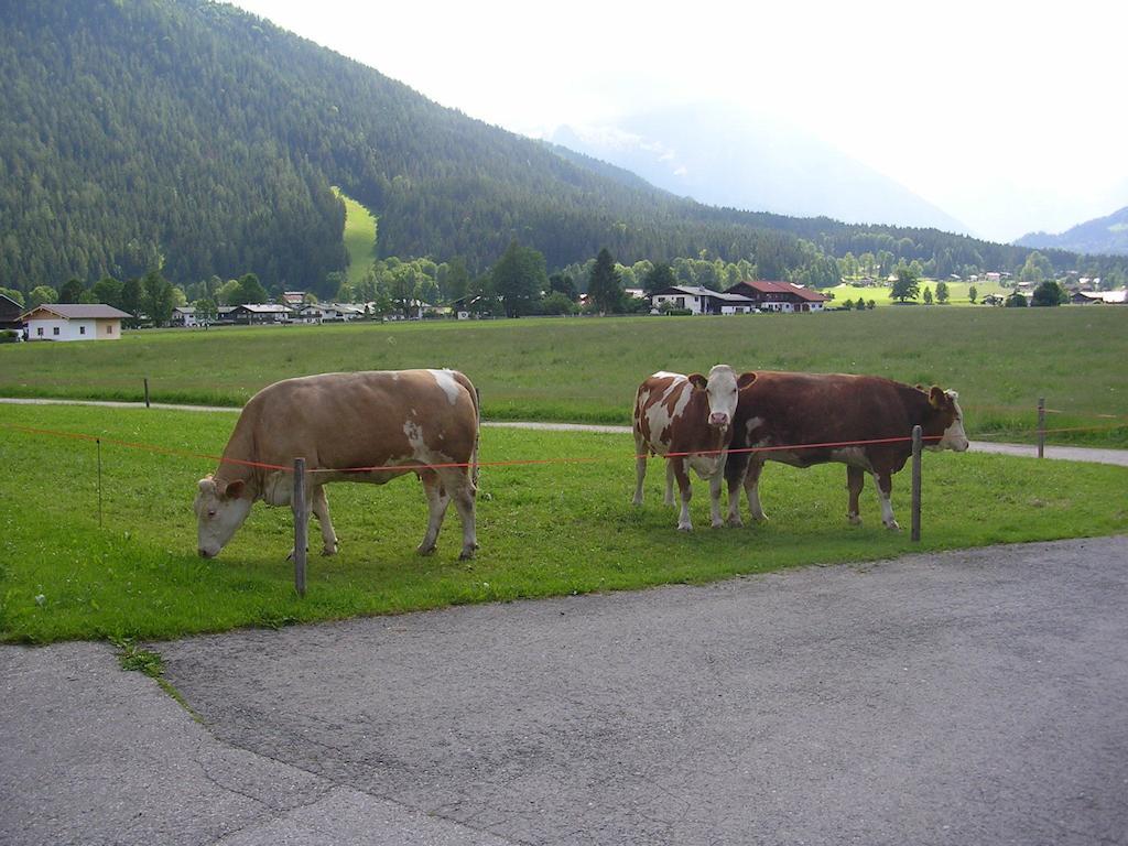Gaestehaus Bodnerlehen Hotel Schönau am Königssee Værelse billede